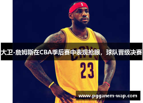大卫-詹姆斯在CBA季后赛中表现抢眼，球队晋级决赛