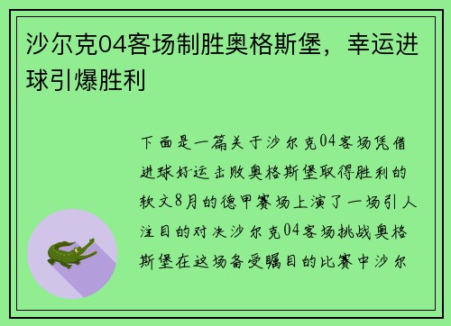 沙尔克04客场制胜奥格斯堡，幸运进球引爆胜利