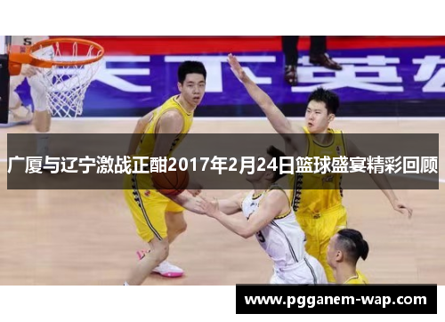 广厦与辽宁激战正酣2017年2月24日篮球盛宴精彩回顾