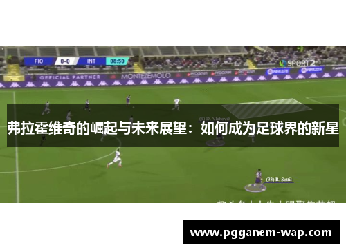 弗拉霍维奇的崛起与未来展望：如何成为足球界的新星