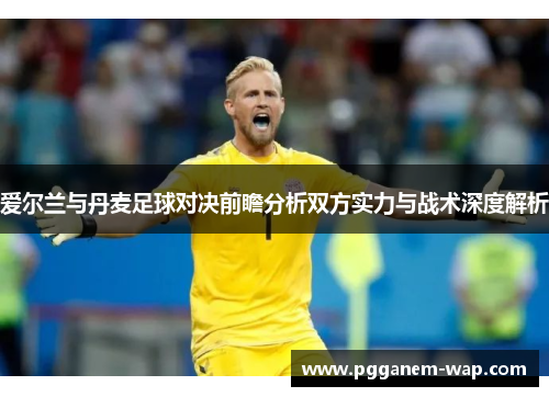 爱尔兰与丹麦足球对决前瞻分析双方实力与战术深度解析