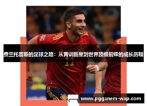 费兰托雷斯的足球之路：从青训新星到世界顶级前锋的成长历程